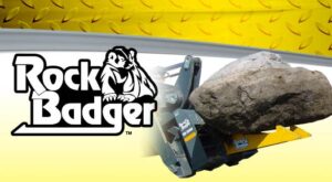 rock badger